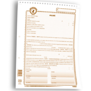 6001X12 PAGARE A LA ORDEN PQTX12
